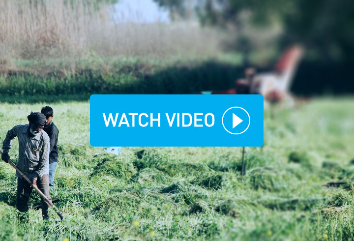 Better lives through better business