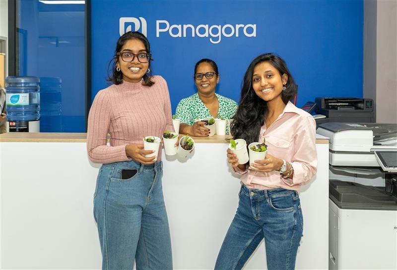 Distribution de plantes pour la journée mondiale de l'environnement à Panagora