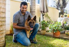 poobalen_journee_mondiale_du_chien