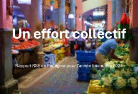 A collective effort - Panagora's 2024 sustainability report 