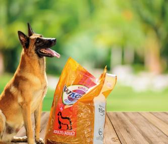 croquettes à domicile