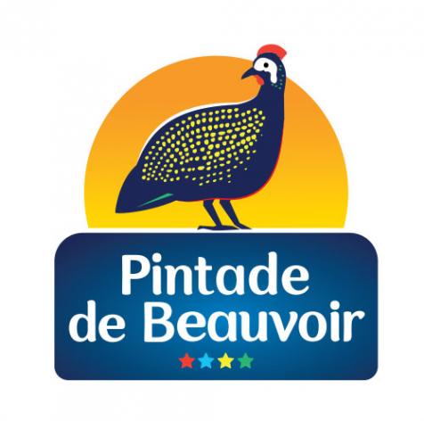 Pintade de Beauvoir