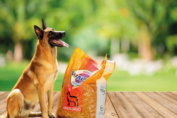 croquettes à domicile