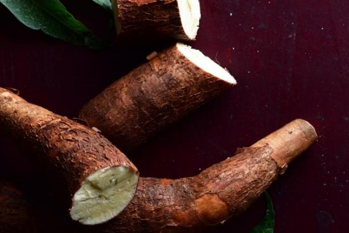 Foodies - Manioc