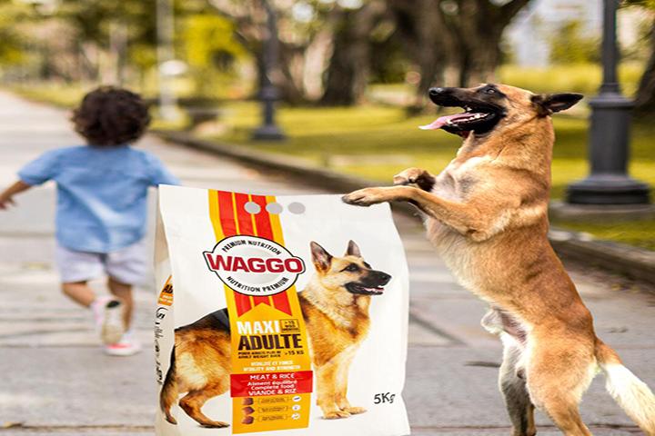 WAGGO_DOG FOOD_NEW_PACKAGING
